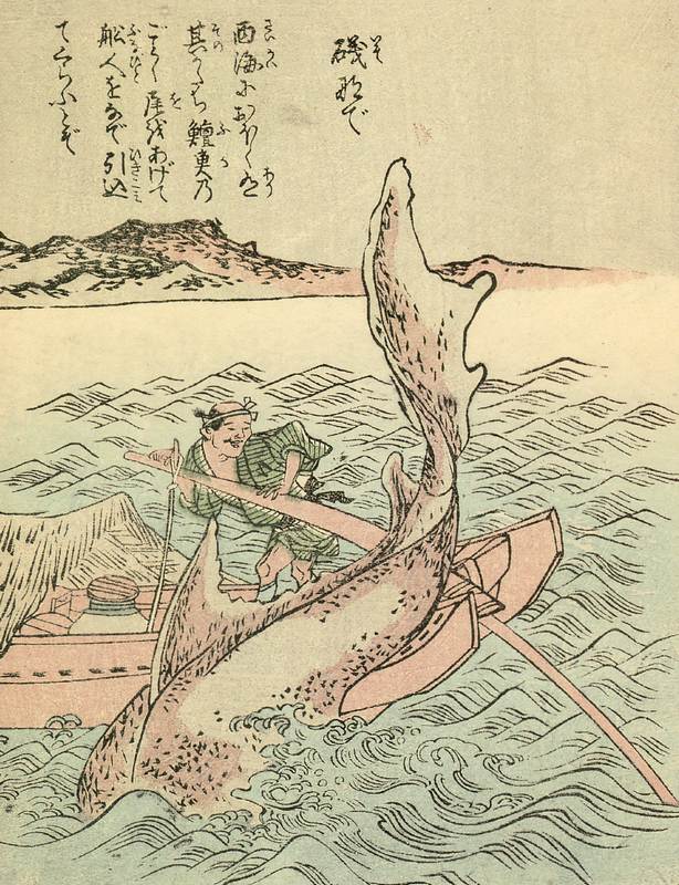 磯撫