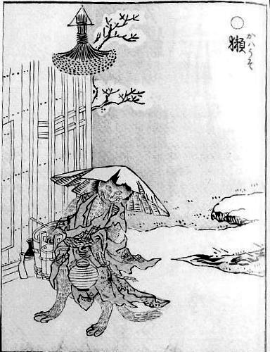 Kawa-uso