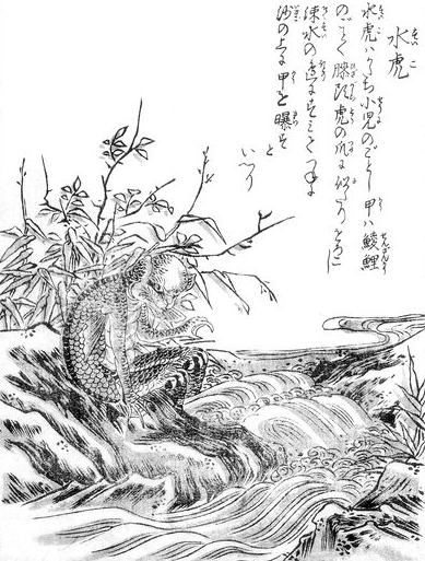 水虎